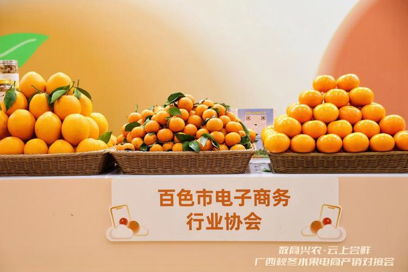 淘宝天猫运营新动态:电商行业的风向标