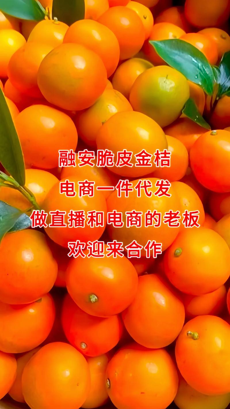 网店托管:电商时代的新选择